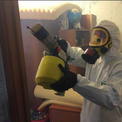 Уничтожение клопов в квартире. Дорогомилово